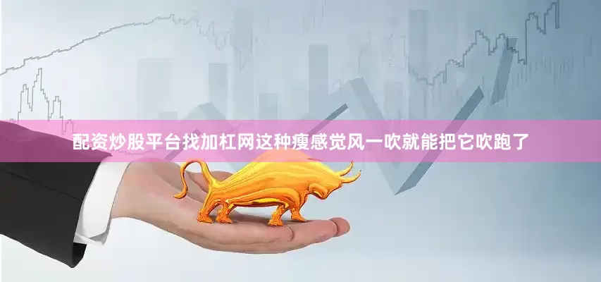 配资炒股平台找加杠网这种瘦感觉风一吹就能把它吹跑了