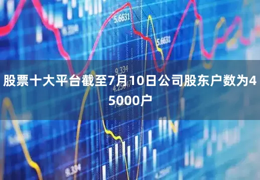 股票十大平台截至7月10日公司股东户数为45000户