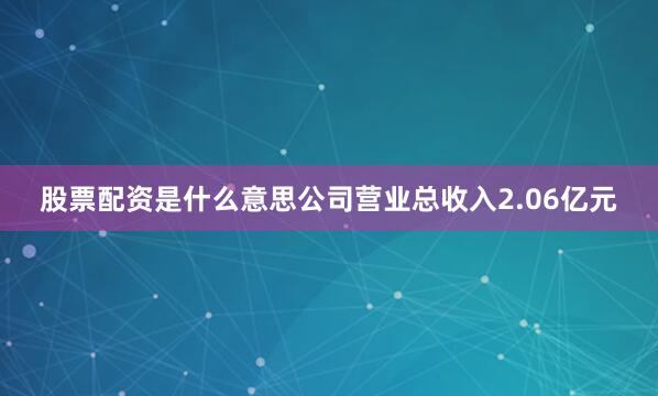 股票配资是什么意思公司营业总收入2.06亿元
