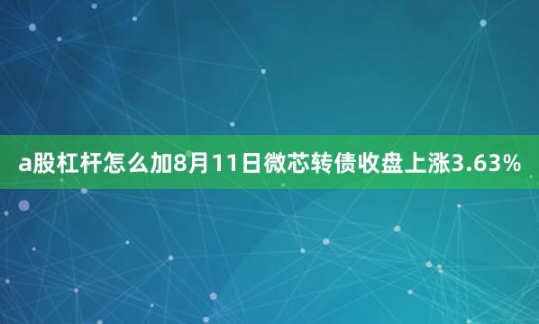 a股杠杆怎么加8月11日微芯转债收盘上涨3.63%