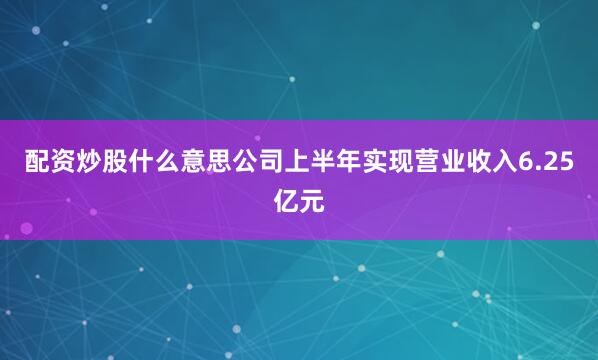 配资炒股什么意思公司上半年实现营业收入6.25亿元