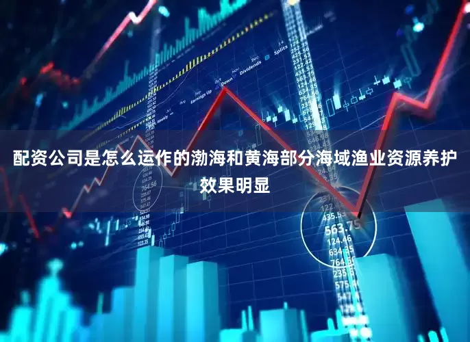 配资公司是怎么运作的渤海和黄海部分海域渔业资源养护效果明显