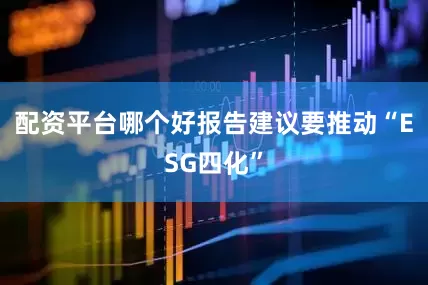 配资平台哪个好报告建议要推动“ESG四化”